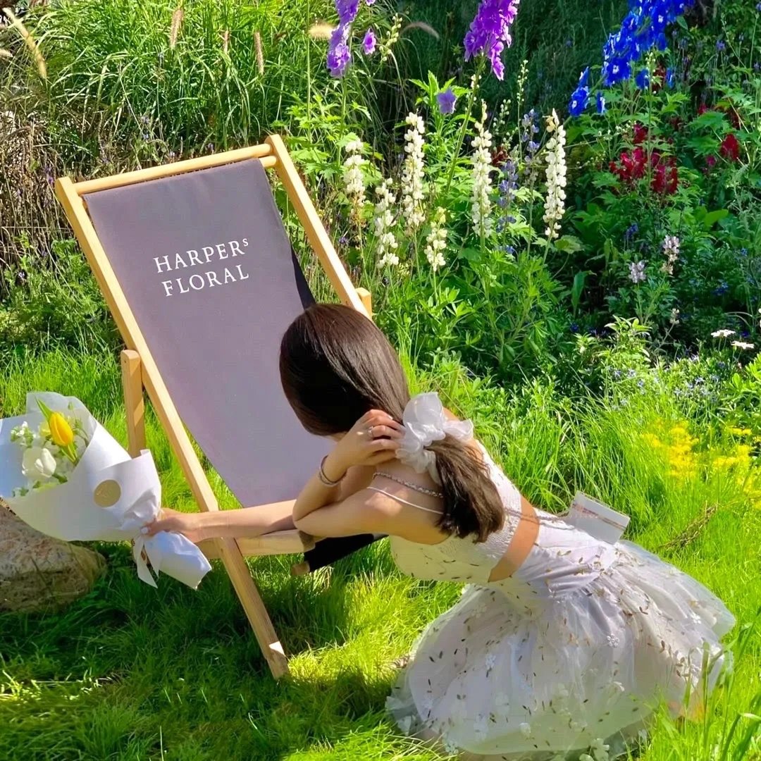 凤阳小子朱元璋